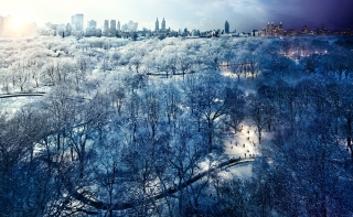 NYC’s Day and Night - Central Park