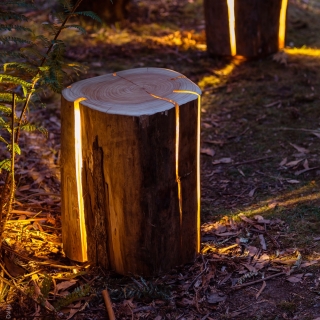 Stump - The cracked log table/stool